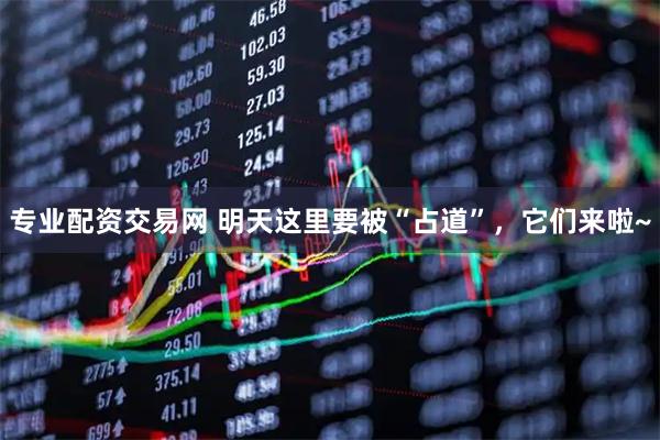 专业配资交易网 明天这里要被“占道”，它们来啦~