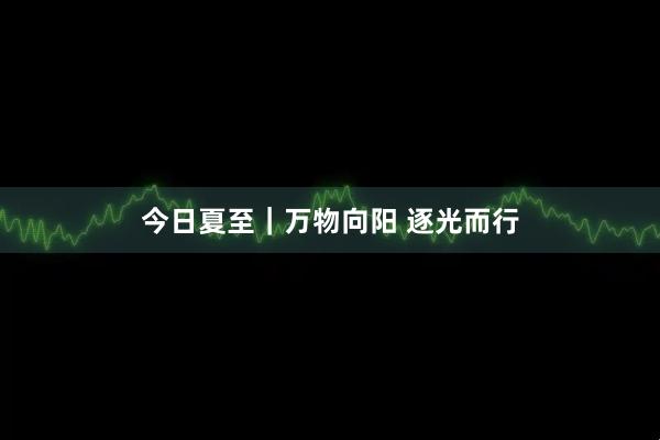 今日夏至｜万物向阳 逐光而行